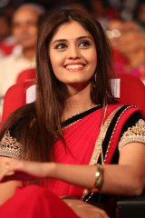 Express Raja Audio Launch